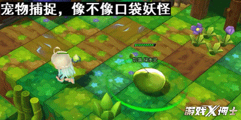 冒险岛2如何捉宠物