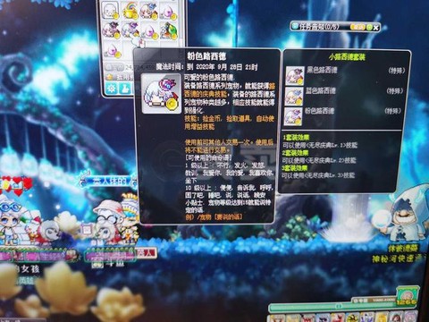 冒险岛2如何捉宠物[图2]