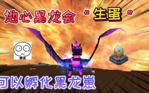 迷你世界黑龙蛋怎么得