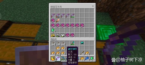 我的世界弓附魔什么好[图1]